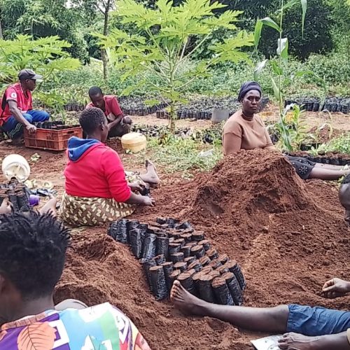 Achievers Muunyini nursery