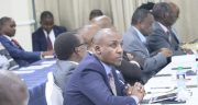 Diaspora public participation Makueni County, April 2023 (2)
