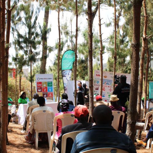 Public partcipation and awareness of SDGs (2)