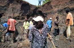 Reclamation of degraded lands