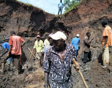 Reclamation of degraded lands