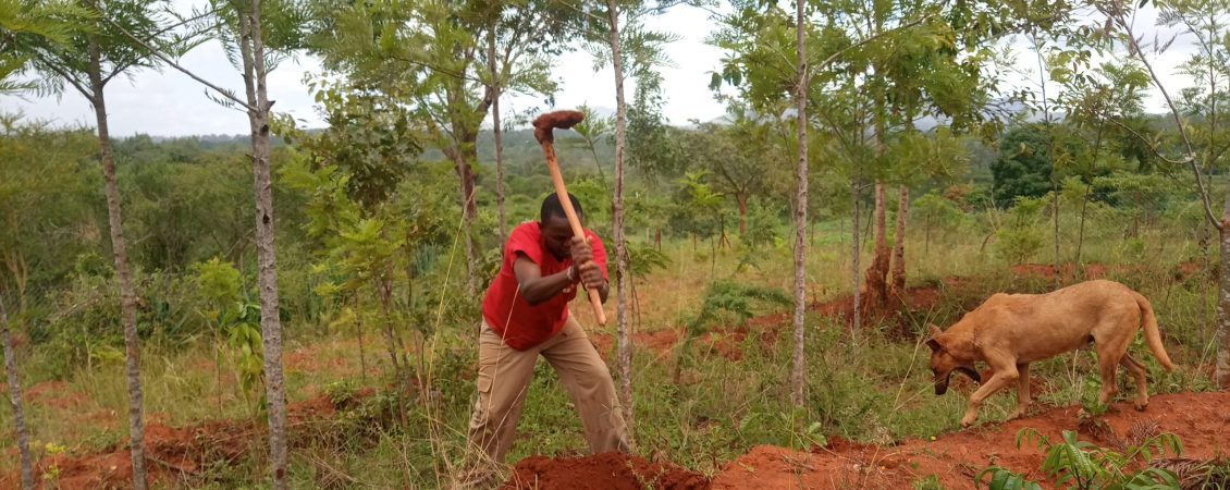 Tree planting April 2023 (1)