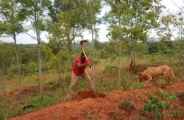 Tree planting April 2023 (1)