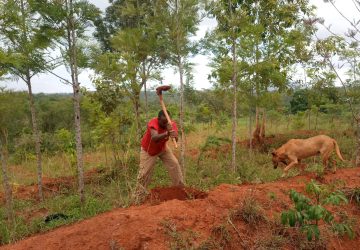 Tree planting April 2023 (1)
