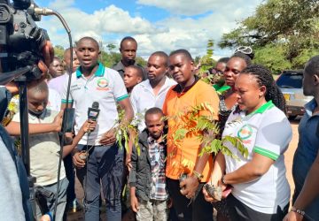 Tree planting launch