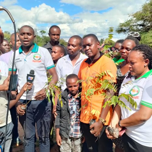 Tree planting launch