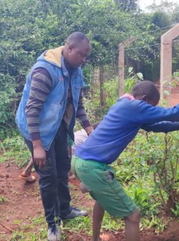 Tree planting with pupils 2