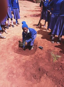 Tree planting with pupils
